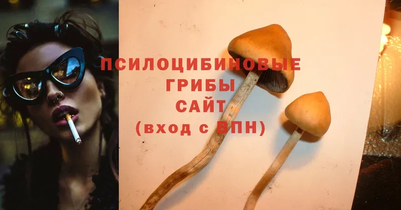 Галлюциногенные грибы Cubensis  Уяр 